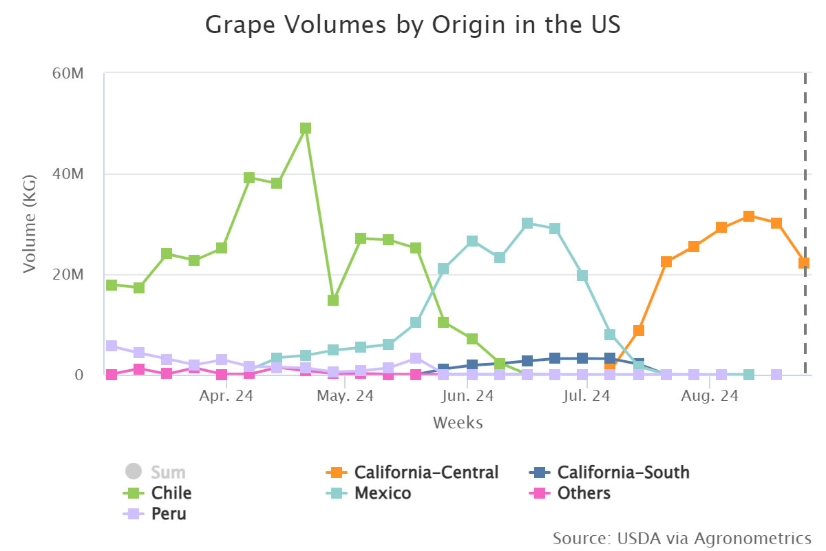 grape volumes by origin